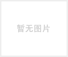 双键化学耐高温无机胶DB5014